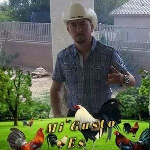 Meet your Posher, Miguel a